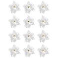 thumbnail image 1 of 12Pcs Silver Glitter Poinsettia Picks, Metallic Christmas Poinsettia Artificial Flowers with Wired Stem, 8.46in Tree Ornaments for Winter Wonderland & Glam Holiday Decor, 1 of 6