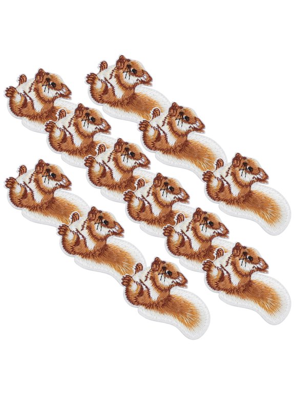 12Pcs Squirrel Embroidery Cloth Stickers Motif Applique Iron-On Patches For DIY T-Shirts Backpacks Hoodies Shoes Bags Arts Craft Sew Making 2.4 x 1.6 inches / 6 x 4 cm