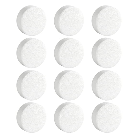12Pcs White Polystyrene Foam Circles 3Inch Foam Disks For Kid Adult Art Painting Handmade Craft And School Art Project