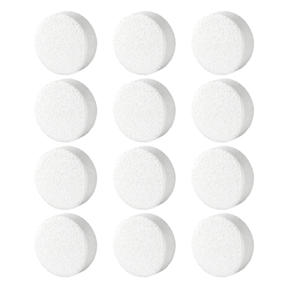 12Pcs White Polystyrene Foam Disks 3Inch Paintable Foam Circles For Painting Wedding Decorations School Craft Project