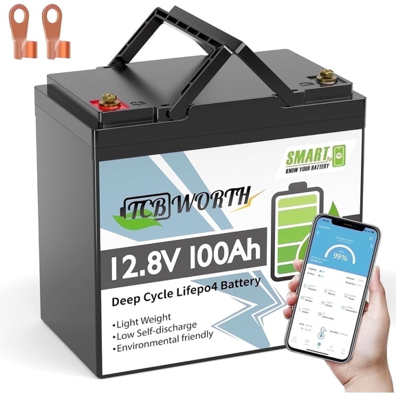 12V 100AH Mini LiFePO4 Lithium Battery Bluetooth,for RV,Solar,Camping,Deep Cycles,TCBWORTH Group 22NF