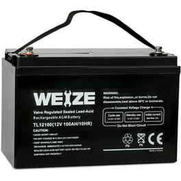 EverStart Lead Acid Lawn and Garden Battery Group Size U1R 12