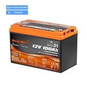 12V 100Ah Deep Cycle LiFePO4 Battery, Group 31 Lithium Battery, Built-in Bluetooth 5.0 & 100A BMS, IP67, 4000+ Cycles, 1280Wh, Low-Temp Protection and 10-Year Lifespan, for RV, Solar, Marine, Home