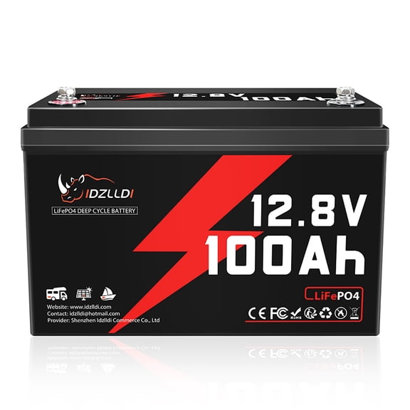 IDZLLDI 12V 100Ah LiFePO4 Battery, 100A BMS, 1280Wh Deep Cycle Rechargeable Lithium Battery for RV, Off-Grid, Solar, Marine, Camping
