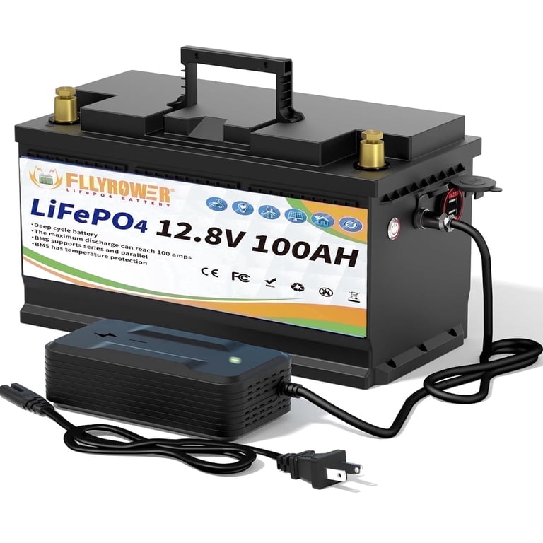 FLLYROWER 12V 100Ah LiFePO4 Lithium Battery, Free Charger, 100A