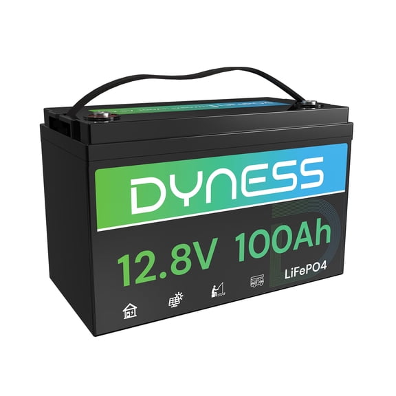 12V 100Ah LiFePO4 Battery BCI Group 31 Lithium Battery with Low-Temp Cut Off Protection, A+ Grade Cell Built-in 100A BMS, Perfect for RV, Solar System, Off-Grid, Home Energy Storage