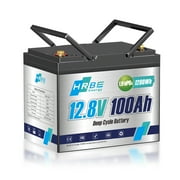 12V 100Ah Group 24 Mini LiFePO4 Battery,Lithium RV Batteries for Solar,Marine,Trolling Motor,Van,Backup Power,Camping,100A BMS,15000+Deep Cycles with Charger