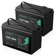 12V 100Ah LiFePO4 Battery, 100A Bms, Deep Cycles for Rvs, Marine, Solar, off-Grid, 2 Pack