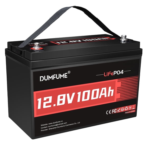 12V 100Ah LiFePO4 Lithium Battery Built-in 100A BMS, Group 31 Rechargeable Battery 6000+ Cycles 1280Wh Perfect for RVs MotorHomes, Camper, Solar System, and Off-Grid
