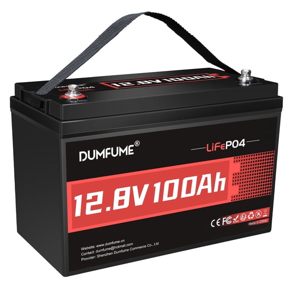 12V 100Ah LiFePO4 Lithium Battery Built-in 100A BMS, Group 31 Rechargeable Battery 6000+ Cycles 1280Wh Perfect for RVs MotorHomes, Camper, Solar System, and Off-Grid