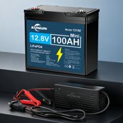 12V 100Ah LiFePO4 Lithium Battery with 20A Charger, Built-in 100A BMS, for Boat