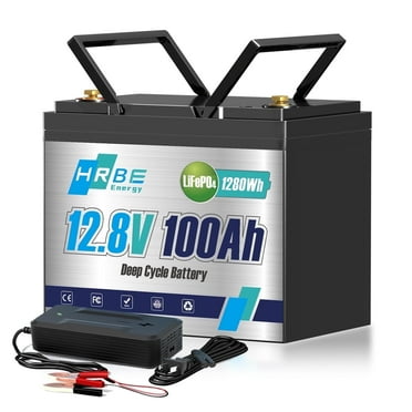 12V 100Ah Mini LiFePO4 Battery,Group 24 Lithium Batteries for RV Solar,Marine,Trolling Motor,Boat,Camper,HRBEENERGY 100A BMS,Deep Cycles Battery