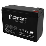 12V 10AH SLA Battery for Neuton CE6 Cordless Electric Mower