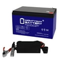 12V 12AH GEL F2 Replacement Battery Compatible With Buzzaround XL