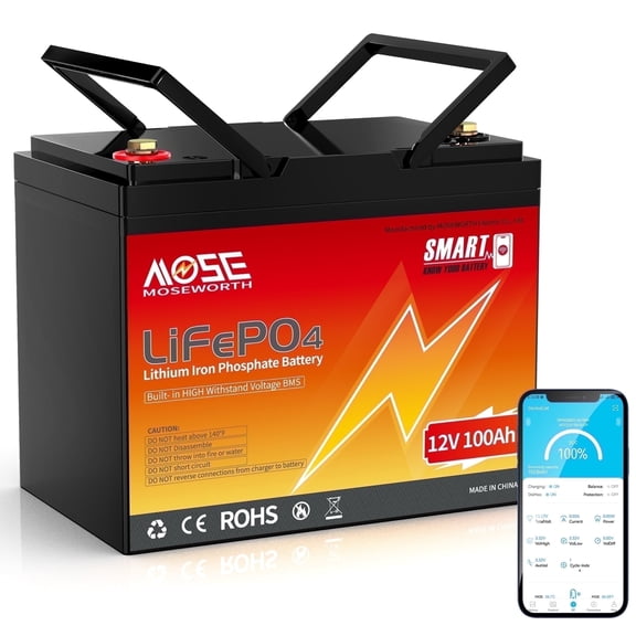 12V 100Ah Group 24 LiFePO4 Battery Bluetooth,MOSEWORTH for RV,Solar,Trolling Motors,Boat,Home Energy Storage,Buit in 100A BMS,15000+Deep Cycles Mini Lithium Battery