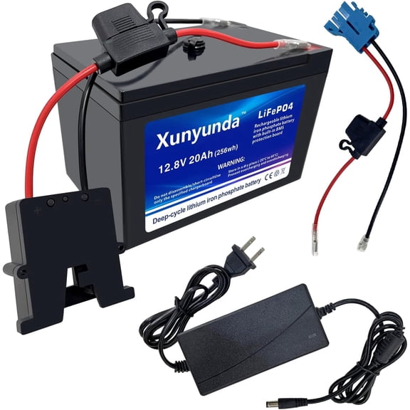 12V 20Ah LiFePO4 Battery, 2000+ Deep Cycle with BMS for Solar, Power Wheels, Fish Finder, Camping, Marine, Off-Grid Use