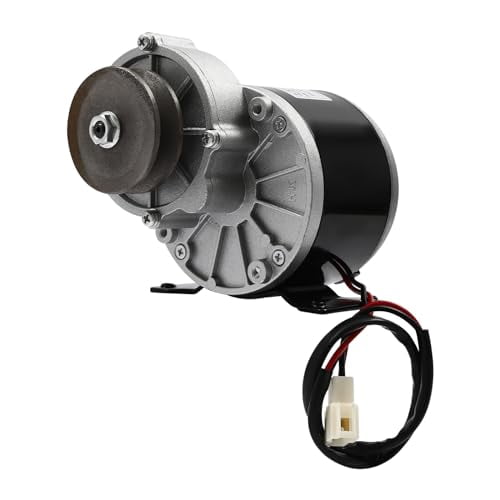 12V 250W Gear Reduction Electric Motor, MY1016Z Gear Reduction Electric Motor, 2750RPM Brushed DC Motor for Scooters, E-Bikes, Electric Cars, Tricycles, Scooters$$Sport & Recreation Other
