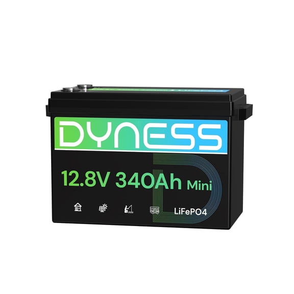 Dyness 12V 340Ah Mini LiFePO4 Lithium Battery, Max.4352Wh,Built-in 200A BMS with Low-Temp Protection,10 Year Lifespan,Supports 4P4S Connection Up to 69.63kWh for RV, Solar, Trolling Motor, Marine