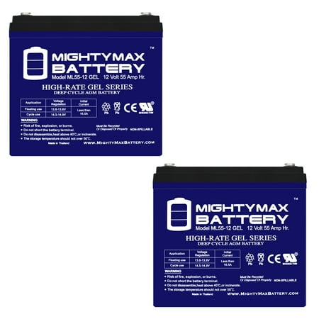12V 55AH GEL Battery Replaces American Bass Stealth 550 - 2 Pack