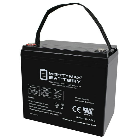 12V 55AH INT Replacement Battery for Wind, Solar