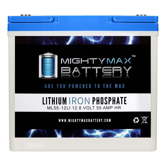 163465 Battery