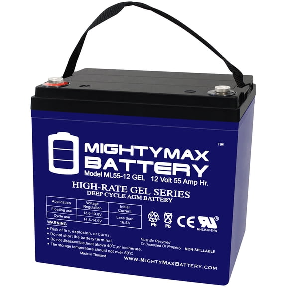 12V, 55Ah, GEL, Replacement Battery Compatible with ESG 6GFM55