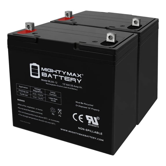 12V 55Ah SLA Battery for Wheel Horse Charger 10 Tractor - 2 Pack
