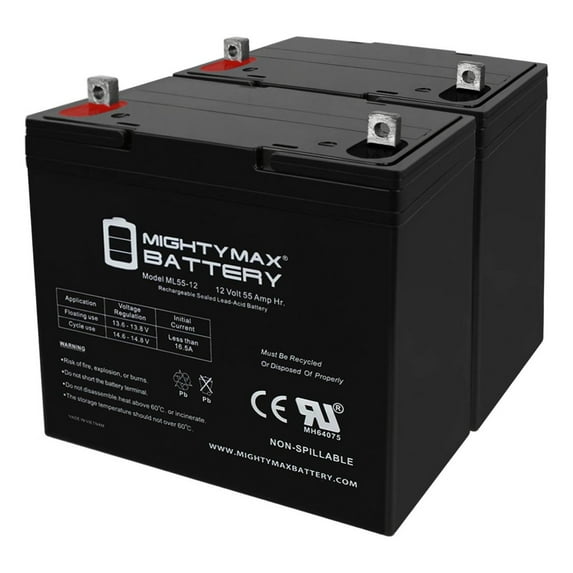 12V 55Ah SLA Replacement Battery for Vision 6FM55SG-X - 2 Pack