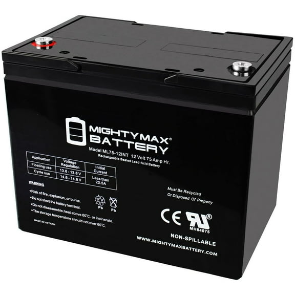 12V 75AH Internal Thread Battery for Wayne ESP25 Back-Up Pump