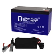 12V 7AH GEL F1 Replacement Battery Compatible With Shaoxing Huitong 6-DW-12 + 12V Charger