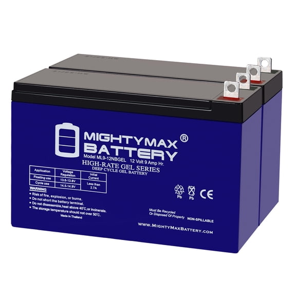 12V, 9Ah, GEL, NB Terminal, Replacement Battery Compatible with Generac XP8000E Generator - 2 Pack