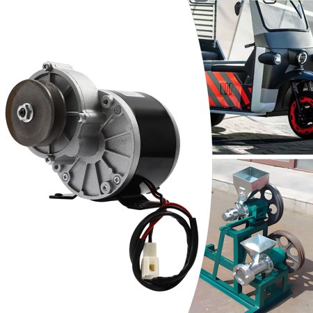 12V DC Gear Reduction Motor 250W, Brushed Electric Motor with Belt Pulley, 2750 RPM Adjustable Speed 0-300 RPM, for Scooter E-Bike Small Machinery MY1016Z