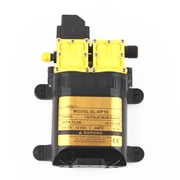 12V Dual Core Power Water Pump Motor Agricultural Electric Sprayer Dual Pump