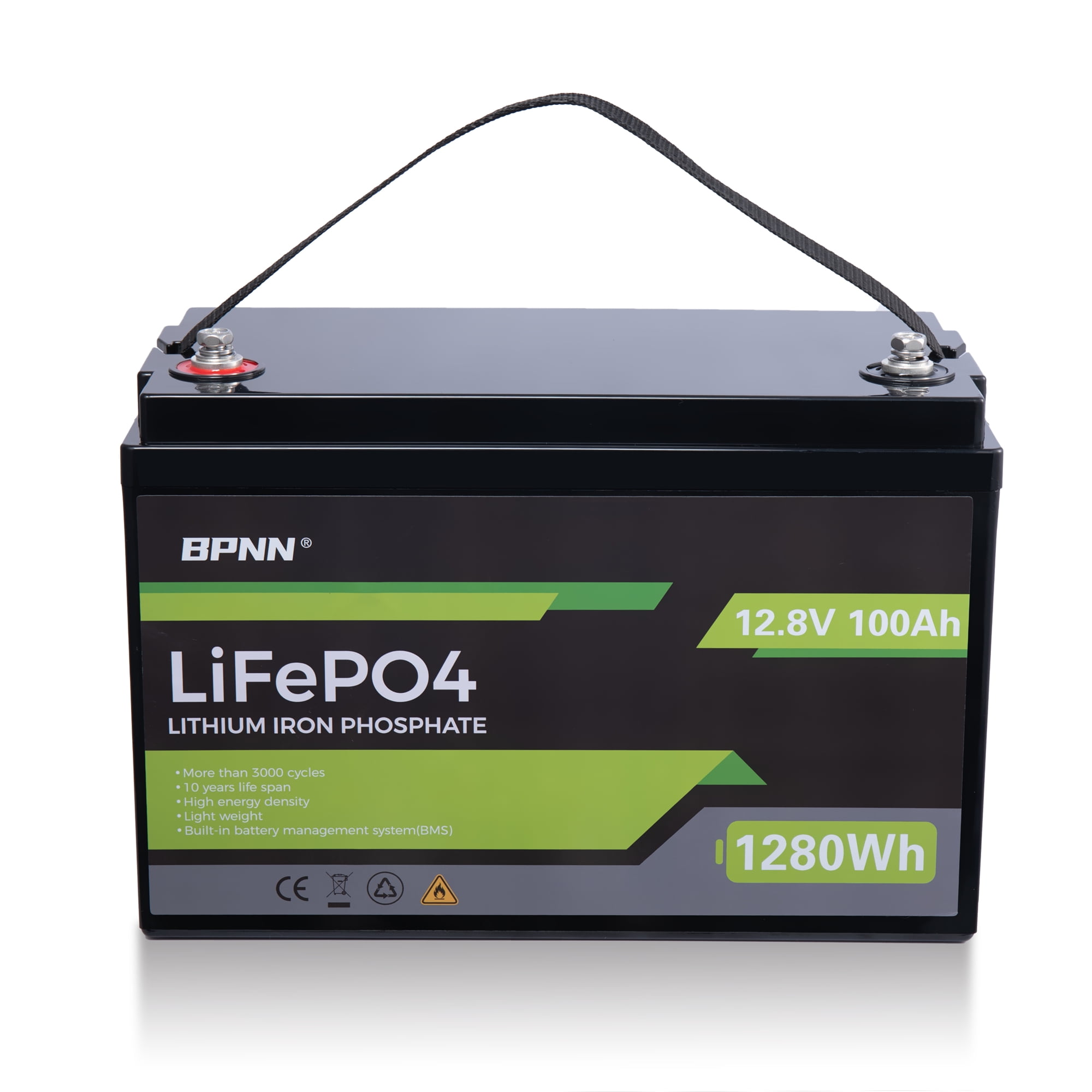 Renogy Deep Cycle AGM Battery 12 Volt 100Ah, 3% Self-Discharge