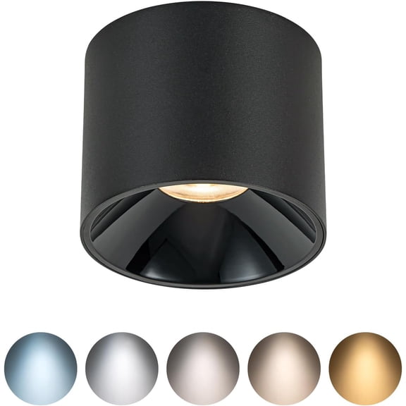 12W 4.72 inches LED 5CCT Selectable Dimmable Ceiling Spotlight CRI95+ Aluminum Cylinder Indoor Modern Minimalist Focus Down Light Fixture for Living Room Hallway Foyer