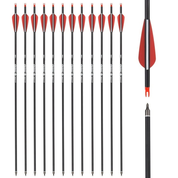 12X Archery Carbon Arrows Targeting Arrows with Replacement Screw-In Points Target Practice for Recurve and Compound Bow 26" 28" 30"