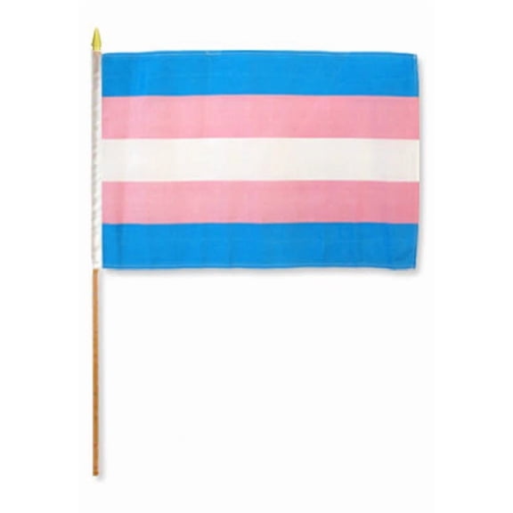 12X18 12"X18" Gay Pride Transgender Stick Flag Wood Staff 100D