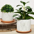 thumbnail image 1 of 12cm Heavy Duty Plant Saucer, Plastic Flower Pot Drip Tray, Round Water Catcher Base, Indoor Outdoor Gardening Accessory, Potted Plant Holder, 1 of 7