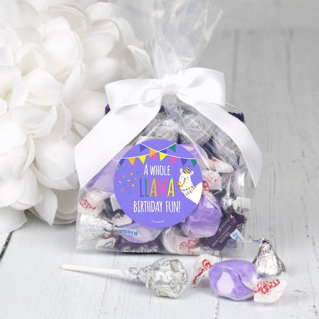 12ct Llama Birthday Party Goodie Bags Kids Birthday Candy Filled Favors (12 Pack)