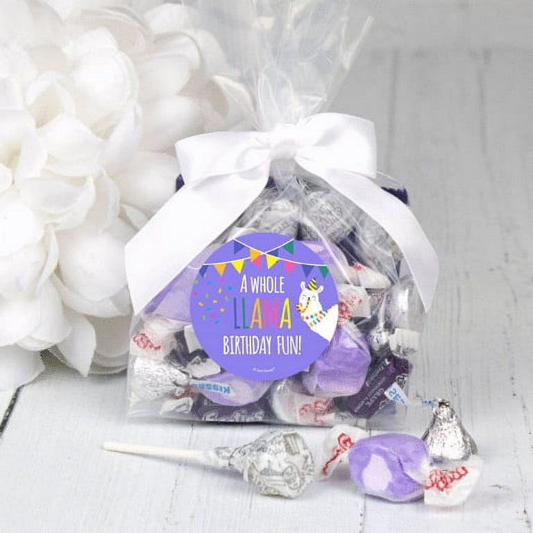 Birthday Party Favor Pre Filled Party Favors. Pre Made Goody Bags