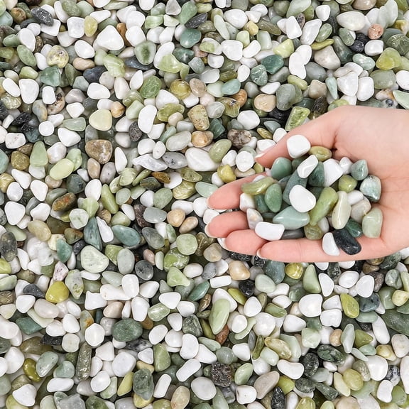 12lb Succulent Jade Pebbles, 3/8 inch Small Rock for Plants
