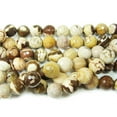 thumbnail image 1 of 12mm Australian Zebra Jasper Faceted Round Beads Genuine Gemstone Natural Jewelry Making, 1 of 1