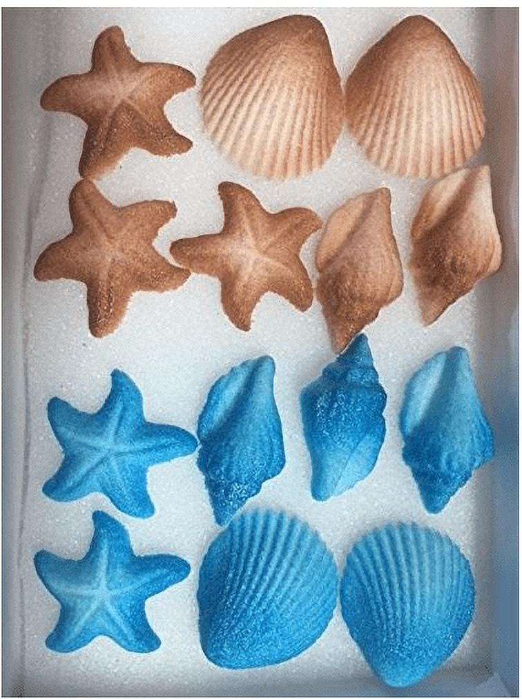 Starfish and Shells - 17