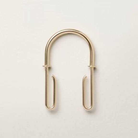 12pc Shower Curtain and Liner Hooks Brass