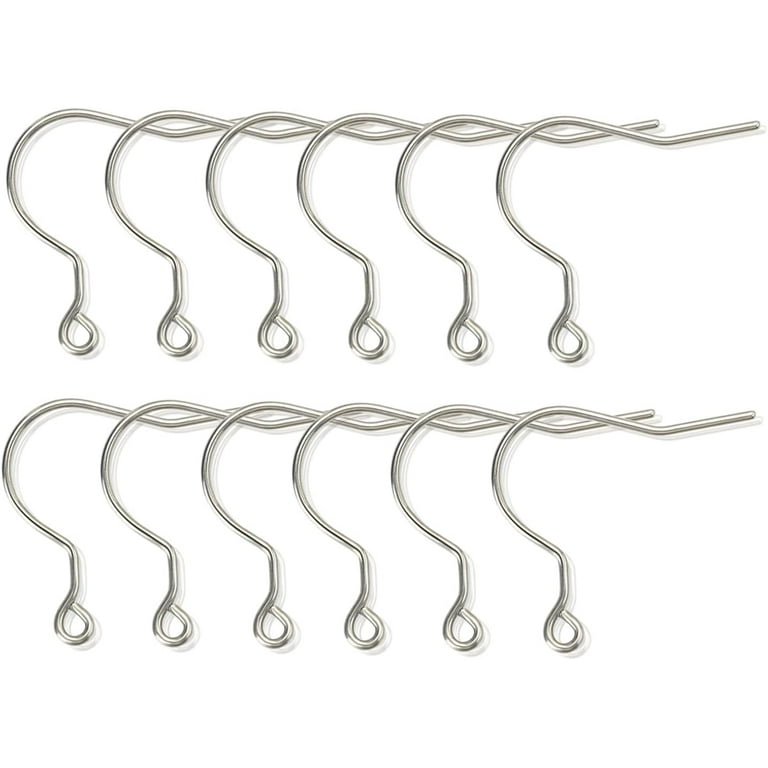 12pcs 20G Big Pure Titanium Earring Fish Hooks DIY Earrings Findings for  Jewelry Making, Hypoallergenic Earring Hooks Making Kit for Women Girls Men