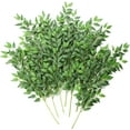 thumbnail image 1 of 12pcs 28'' Artificial Italian Ruscus Greenery Stems, Faux Hanging Greenery Spray & Best Fake Plants Filler for Wedding Bouquet, Centerpieces, Home Decorations, 1 of 4