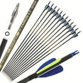 thumbnail image 1 of 12pcs 30" Pure Carbon Arrow SP300-600 Archery 2" Feather Recurve Compound Bow, 1 of 1