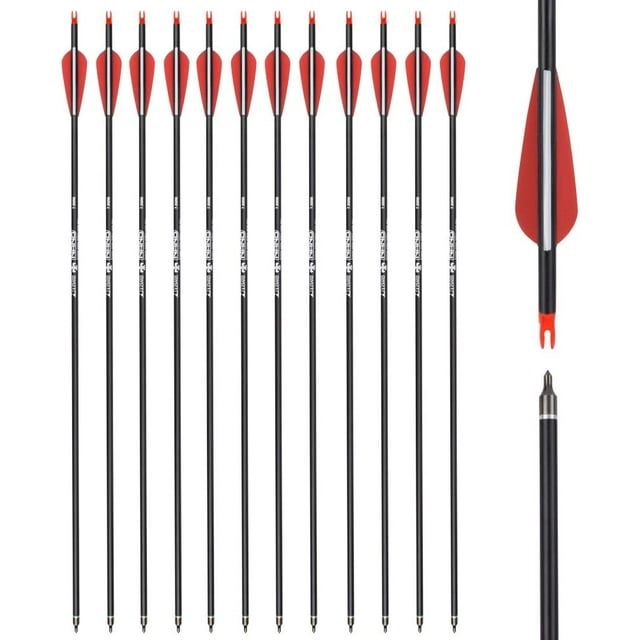 12pcs 30inch Carbon Hunting Arrows for Recurve and Compound Bow with