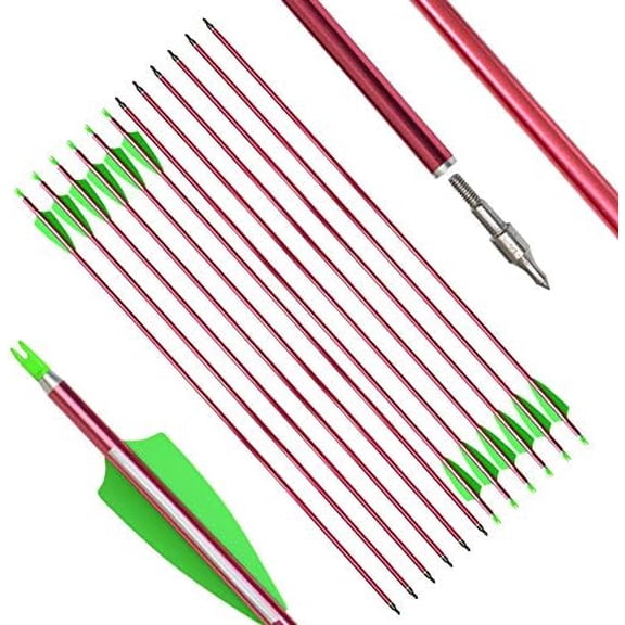 12pcs Archery 31.69 Inch Aluminum Arrows Spine 500 for Compound Recurve Bow$$Other