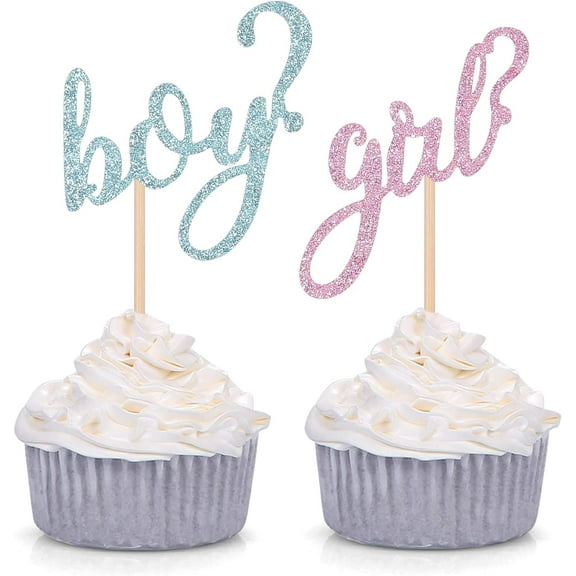 12pcs Boy or Girl - Pink or Blue Cupcake Toppers Baby Shower - Gender Reveal Party Decorating Picks Blue and Pink